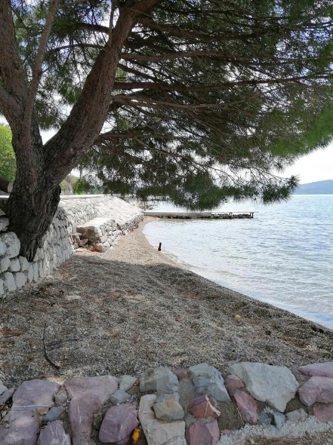 Апартаменты Olive tree apartments Тиват-27