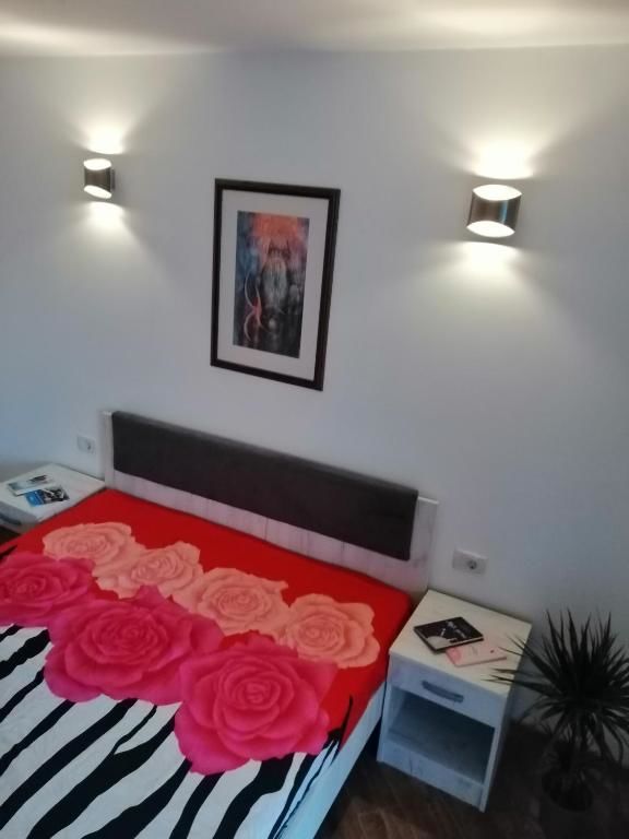 Апартаменты Olive tree apartments Тиват-42