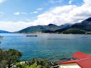 Апартаменты Olive tree apartments Тиват Апартаменты с 1 спальней-5