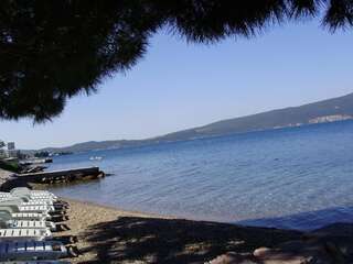 Апартаменты Olive tree apartments Тиват-2