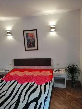 Апартаменты Olive tree apartments Тиват Апартаменты с 1 спальней-9