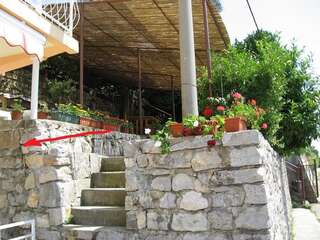 Апартаменты Olive tree apartments Тиват-3