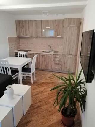 Апартаменты Olive tree apartments Тиват Апартаменты с 1 спальней-5