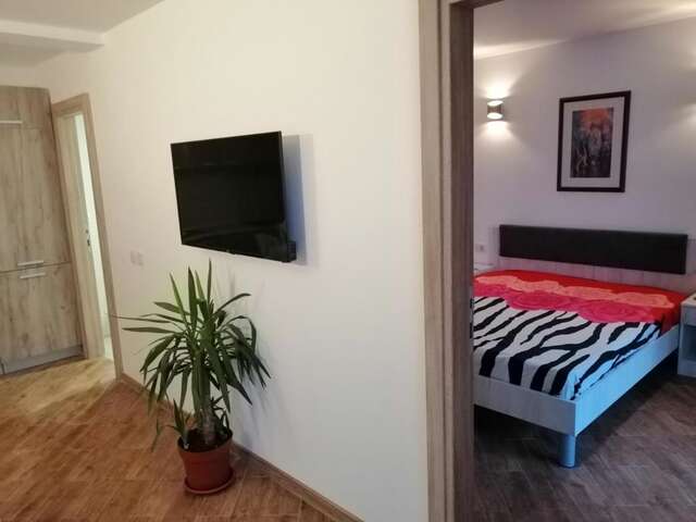 Апартаменты Olive tree apartments Тиват-16